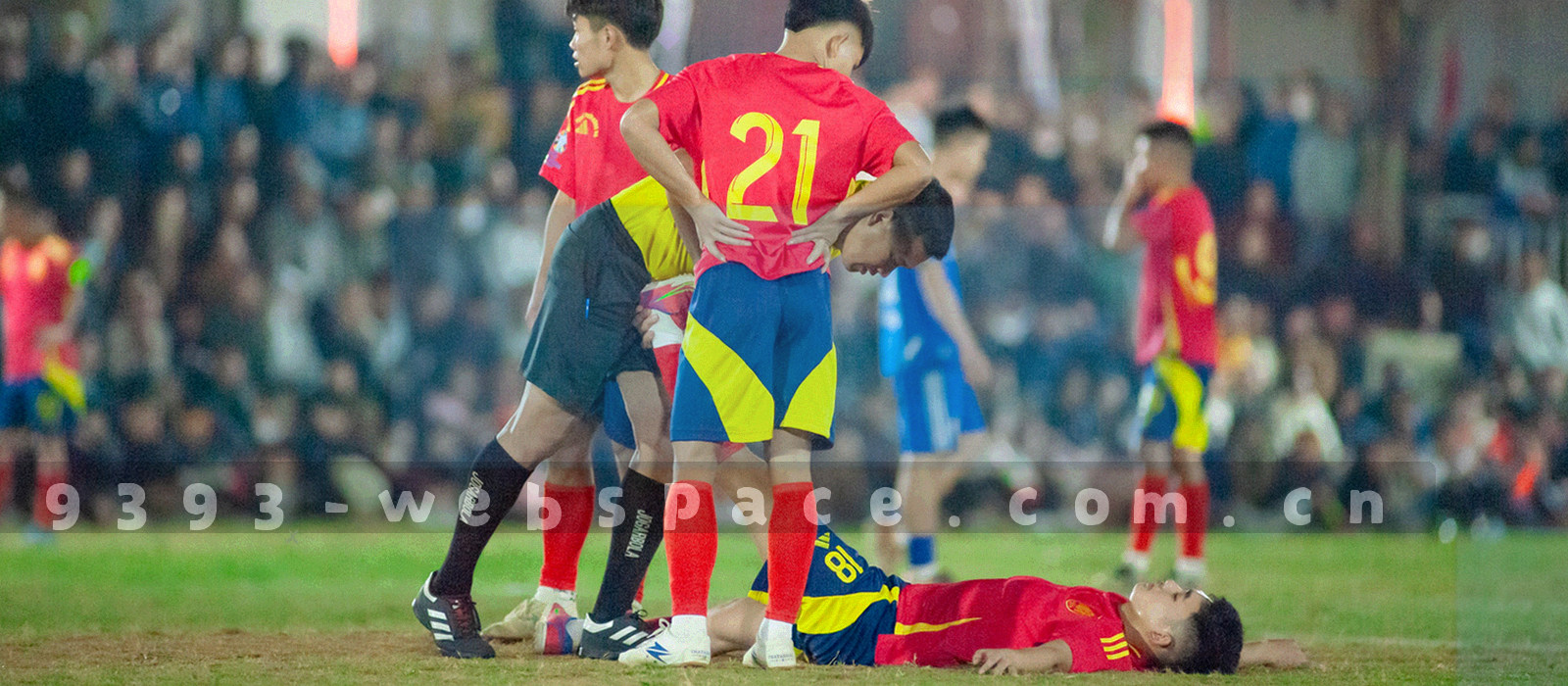 五个切角面板横向排列，代表资料库的五个主题分册